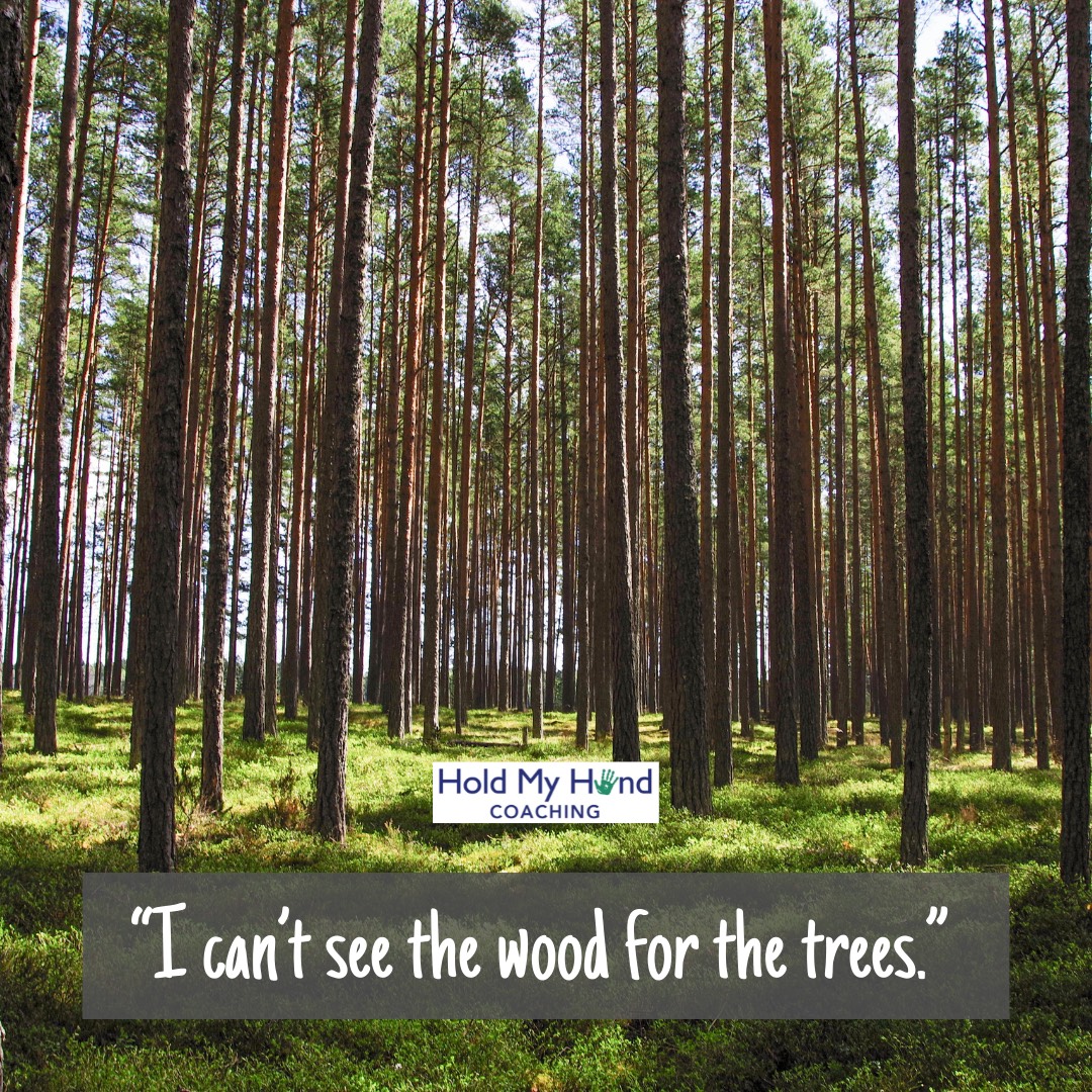 I can't see the wood for the trees Hold my Hand Coaching