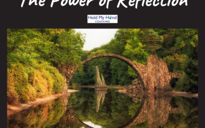 Six Months In – The Power of Reflection