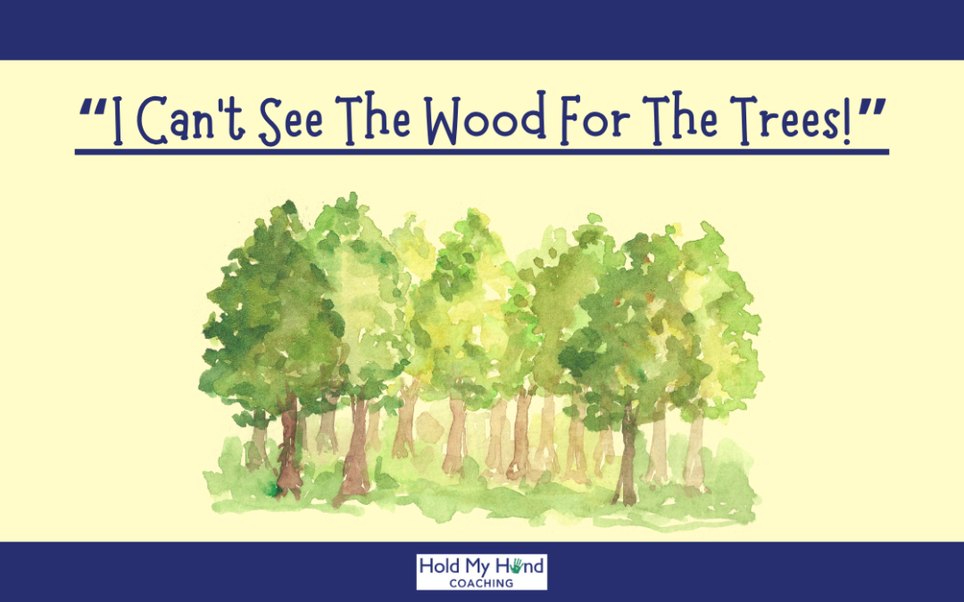 “I can’t see the wood for trees!”